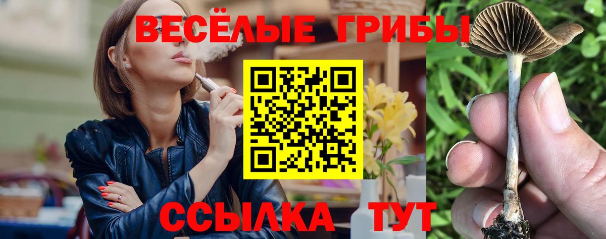 Псилоцибиновые грибы мухоморы Ангарск